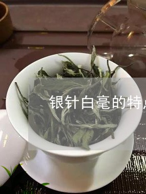 银针白毫的特点/2023112352715