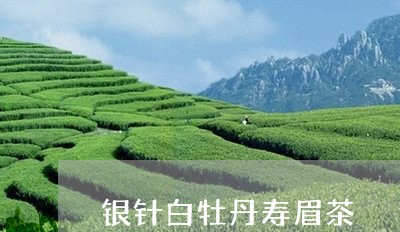 银针白牡丹寿眉茶/2023090509363