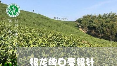 银龙牌白毫银针/2023061157280