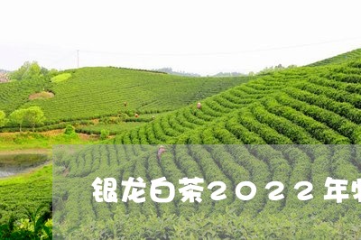 银龙白茶2022年牡丹/2023082639404