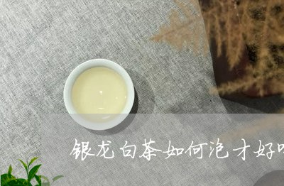 银龙白茶如何泡才好喝视频/2023111695816