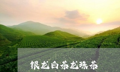 银龙白茶龙珠茶/2023061171704