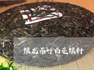 银龙茶叶白毫银针/2023090707370