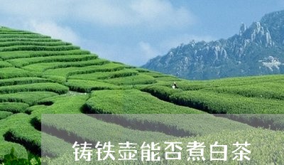 铸铁壶能否煮白茶/2023071370574