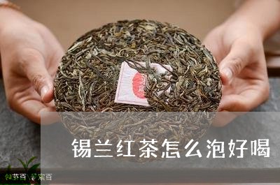 锡兰红茶怎么泡好喝/2023042132036