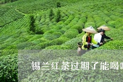 锡兰红茶过期了能喝吗/2023071432514