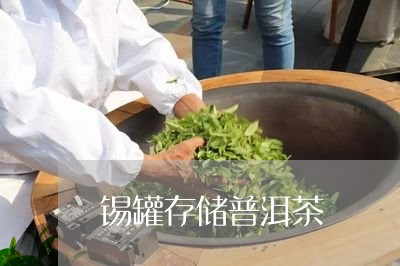 锡罐存储普洱茶/2023121891504