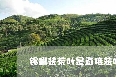 锡罐装茶叶是直接装吗/2023092382028