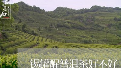 锡罐醒普洱茶好不好/2023120555149