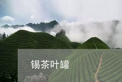 锡茶叶罐/2023121814959