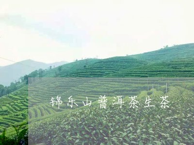 锦乐山普洱茶生茶/2023101605938