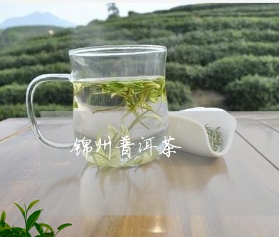 锦州普洱茶/2023090537270