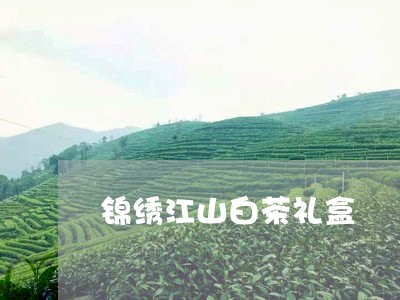 锦绣江山白茶礼盒/2023071306242