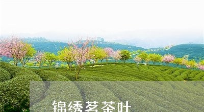 锦绣茗茶叶/2023041701507