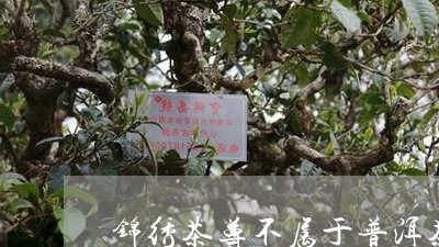 锦绣茶尊不属于普洱茶/2023063095160