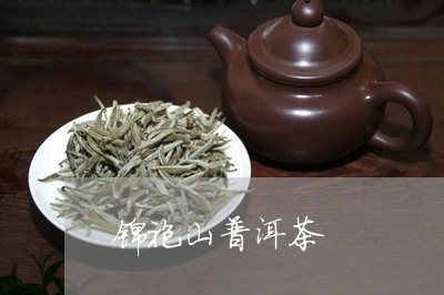 锦袍山普洱茶/2023042718898