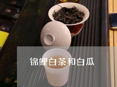 锦鲤白茶和白瓜/2023061137581