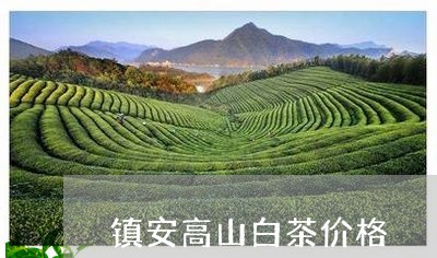 镇安高山白茶价格/2023071369483