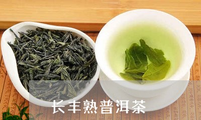 长丰熟普洱茶/2023042632163