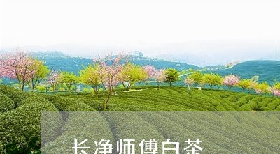 长净师傅白茶/2023052414048