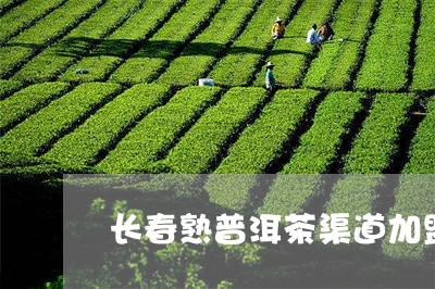 长春熟普洱茶渠道加盟/2023061318483