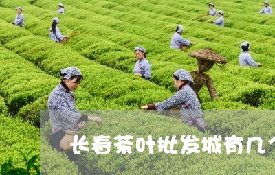 长春茶叶批发城有几个/2023092307271