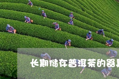 长期储存普洱茶的器具/2023100611482