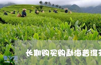 长期购买购勐海普洱茶原料/2023122013938