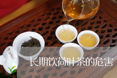 长期饮荷叶茶的危害/2023042373946