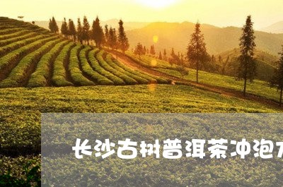 长沙古树普洱茶冲泡方法/2023121861594