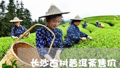 长沙古树普洱茶售价/2023121872837