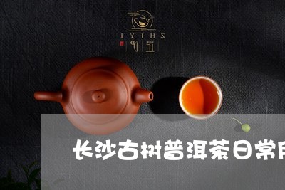 长沙古树普洱茶日常用法/2023121894938
