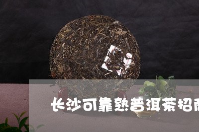 长沙可靠熟普洱茶招商/2023092570403