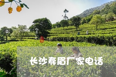 长沙寿眉厂家电话/2023071287158