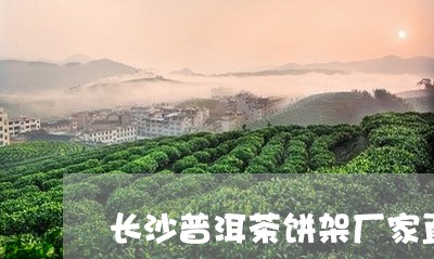 长沙普洱茶饼架厂家直销/2023082447068