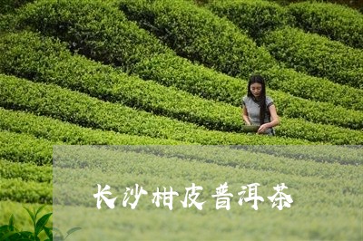 长沙柑皮普洱茶/2023083106947