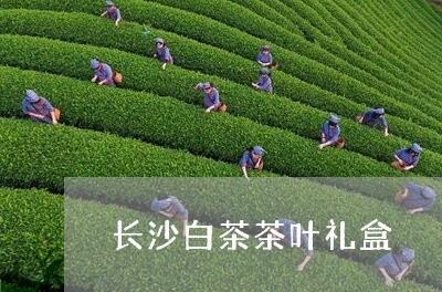 长沙白茶茶叶礼盒/2023071203736