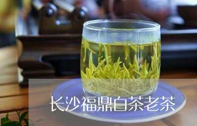 长沙福鼎白茶老茶/2023090551594