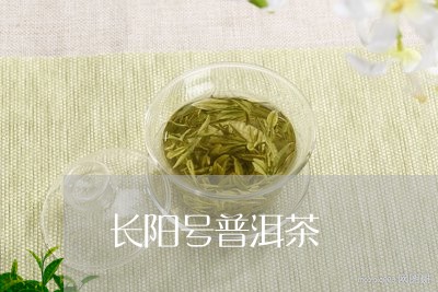 长阳号普洱茶/2023042800215