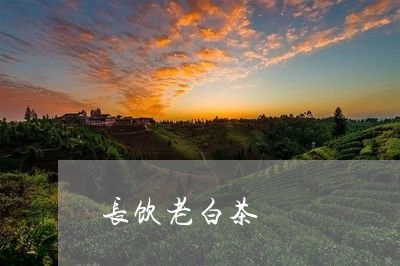 长饮老白茶/2023111764948