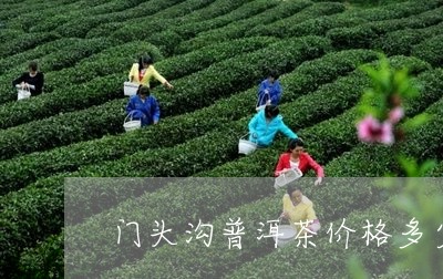 门头沟普洱茶价格多少/2023062940693