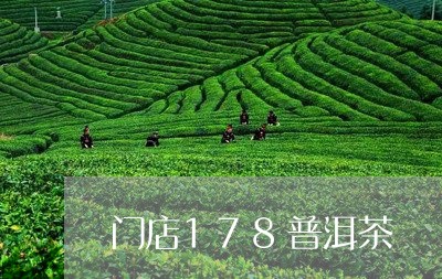 门店178普洱茶/2023101659281