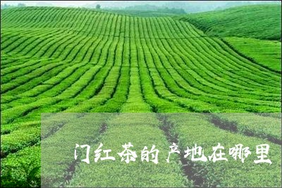 门红茶的产地在哪里/2023071531470