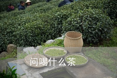 问喝什么茶/2023090286049