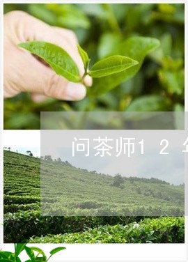 问茶师12年贡眉/2023090955835