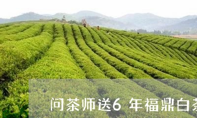 问茶师送6年福鼎白茶/2023120711695