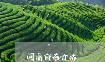 问鼎白茶价格/2023052426261