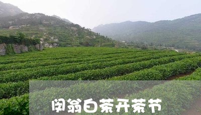 闵翁白茶开茶节/2023061148381