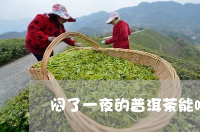 闷了一夜的普洱茶能喝吗/2023103172704