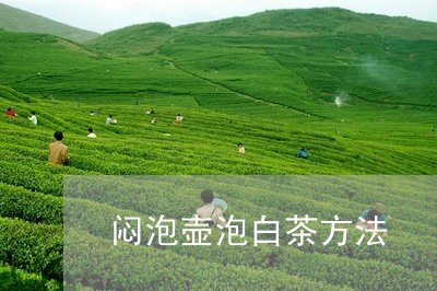 闷泡壶泡白茶方法/2023071293037